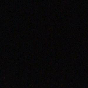 Meet your Posher, Betty